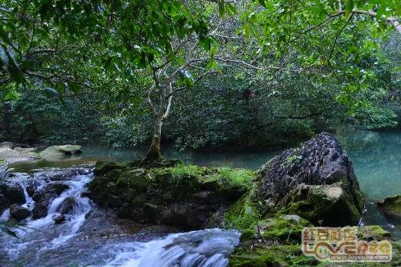 时风集团：2024年两大引擎同时发力