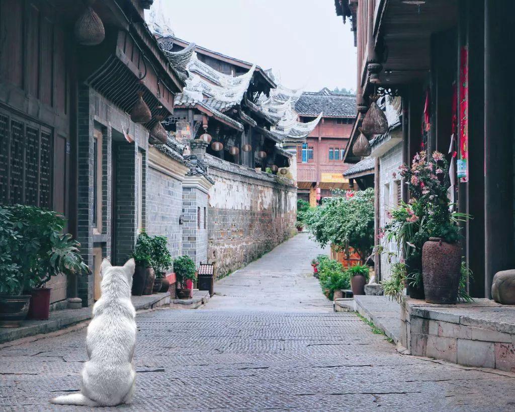 管道拼接
